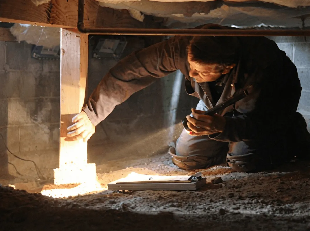 A professional inspecting wooden beams under the floor of a structure in Seattle, WA